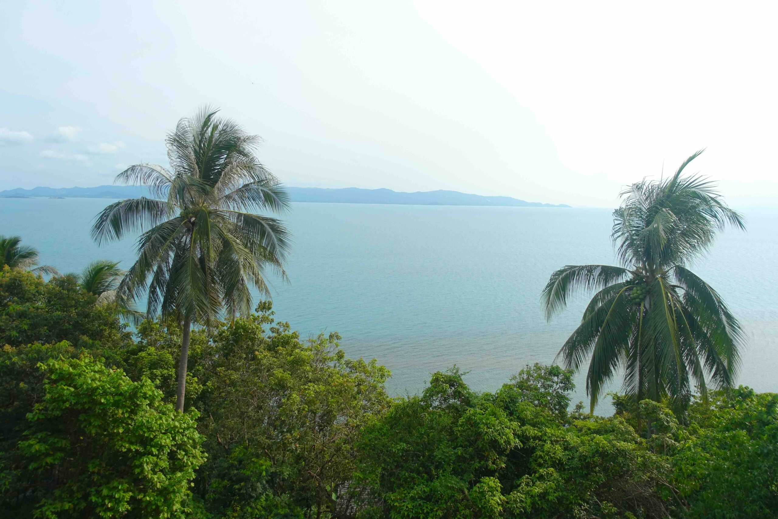 “Palm trees overlooking the Gulf of Thailand with distant islands.”