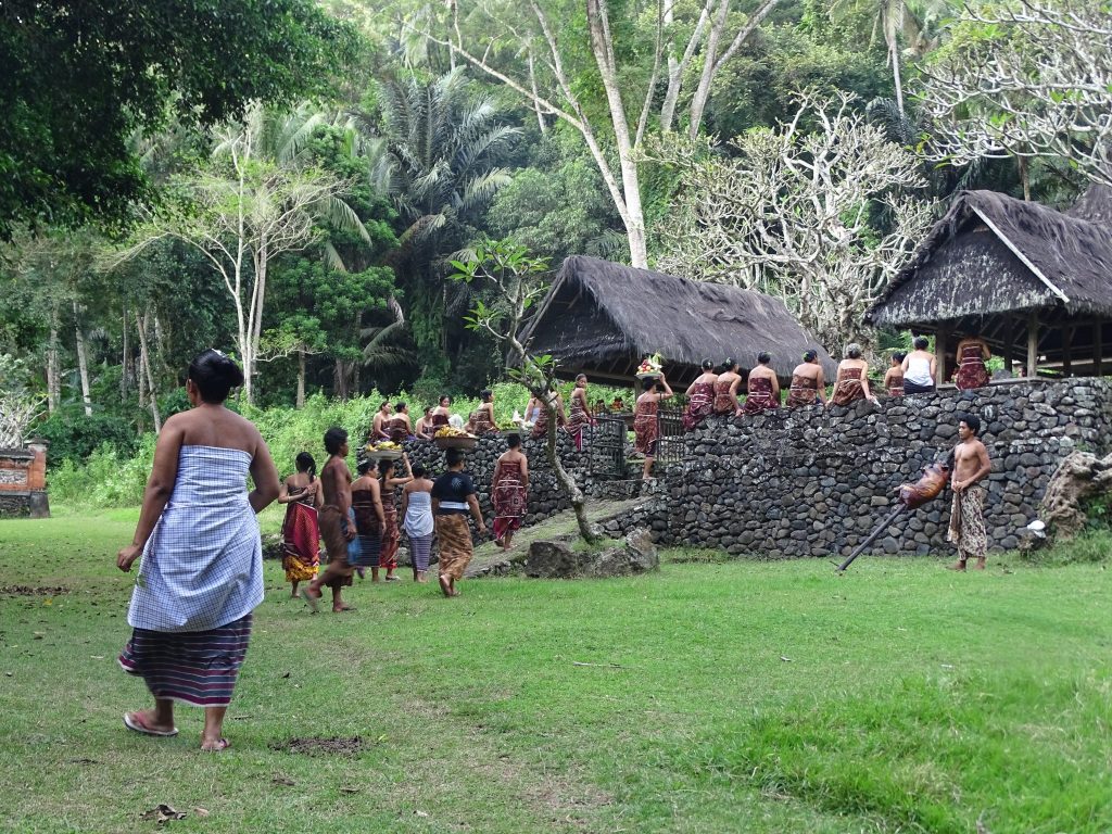A big group of people seen from the back walking to the ritual place in Tenganan.