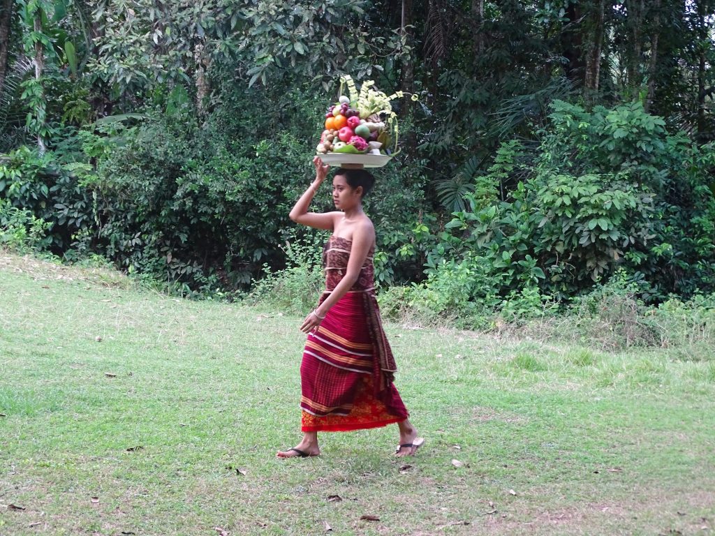 Women carrying fruit on the head in Tenganan. The woman is walking on the grass and they are some bushes on the background. She is wearing a red traditional Indonesian outfit. She is wearing lots of colorful fruits on a tray on the top of her head. It looks like apple, oranges and some other fruits.
