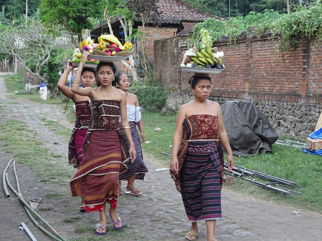 Women carrying fruit on their heads in Tenganan. They are wearing traditional Indonesian dresses. Aned they carry bananas, flowers, papayas and some other fruits.