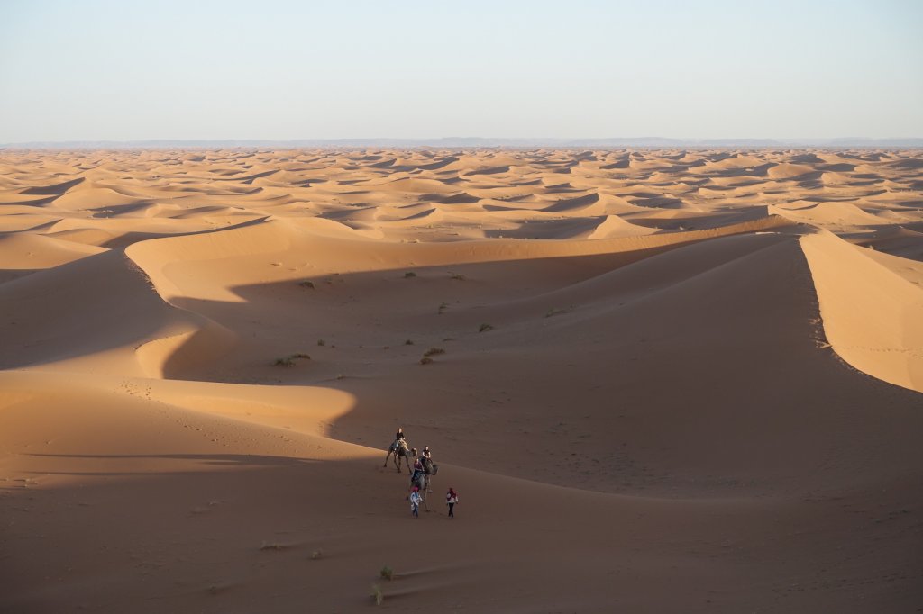 Sea of sand dunes in the Sahara desert at Erg Chegaga. There is a group of some people riding camels and walking in the dunes