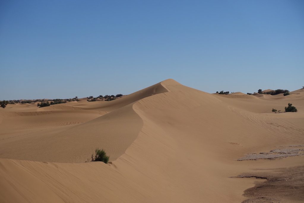 Sand dunes on the Sahara desert on the way to Erg Lihoudi