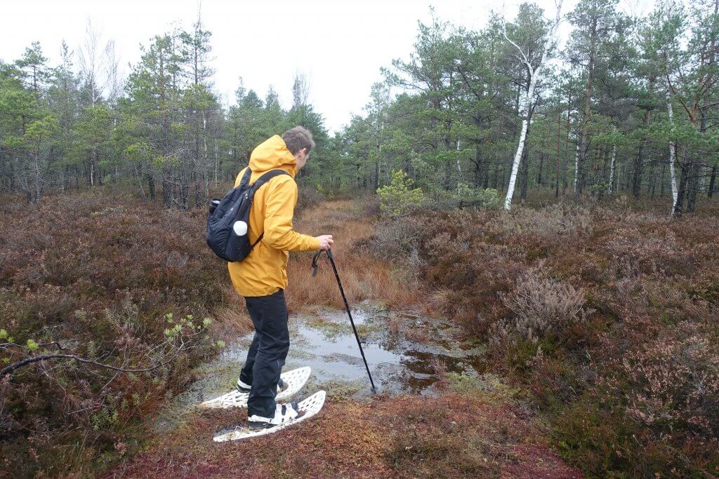 Our tour guide on Kemeri bog showing us the most difficult areas