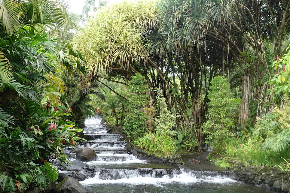A waterfall in the Tabacon hot springs in between lush vegetation
