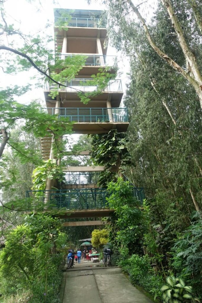 Four storey bird watching tower in the Trasu forest. There are trees on both sides of the towers and you can see the stairs on the outside of the building