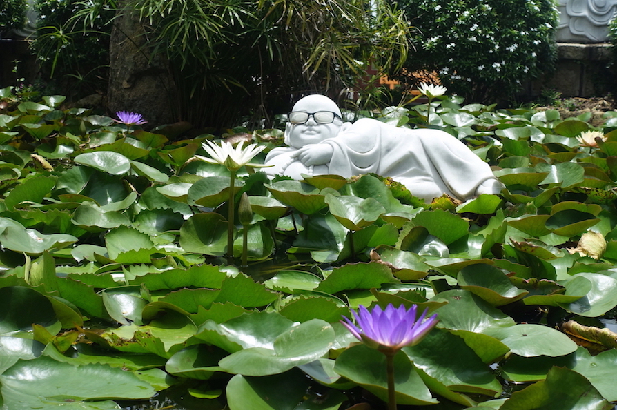 Budda with glasses floating on some lotus flowers plants. You can see a couple of purple lotus flowers