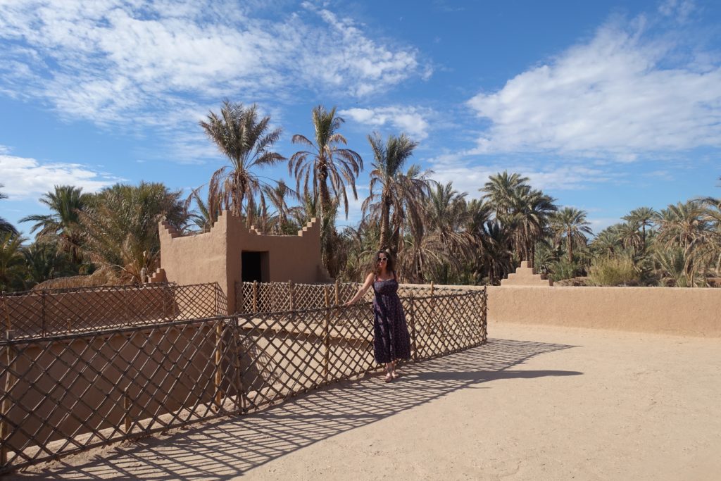 House in the palm grove near Zagora desert