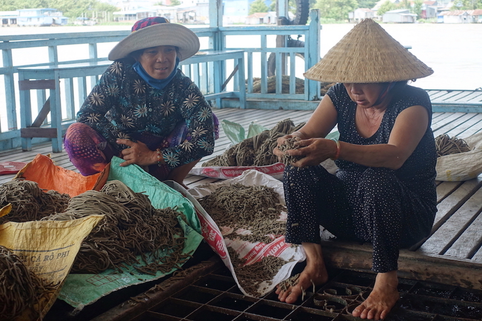Two Vietnamese women working with the fish at the Mekong delta.