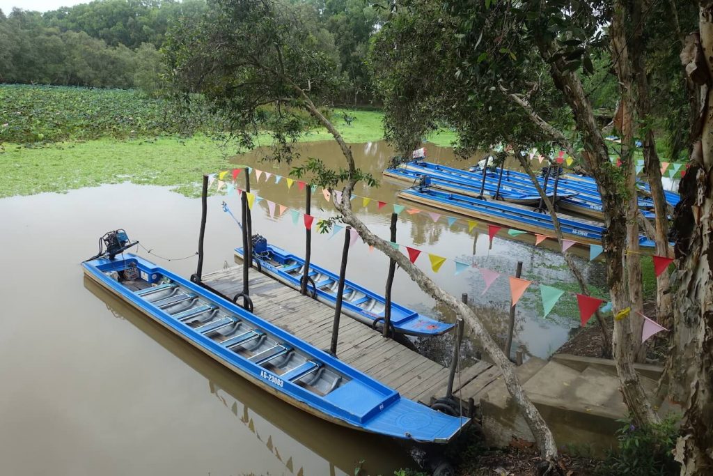 Boats at the Tra Su forest pick up point where the boat tours start