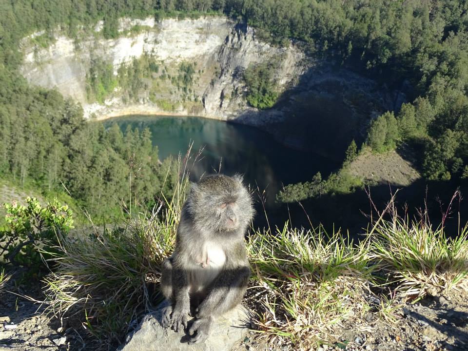 A monkey on the top and on the back the Kelimutu lake of the Old People
