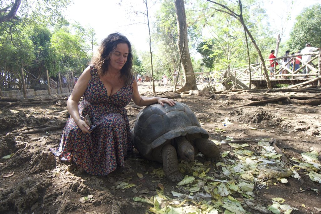 Pilar and an Aldabra tortoise at Prison island during an day activity from Stone Town