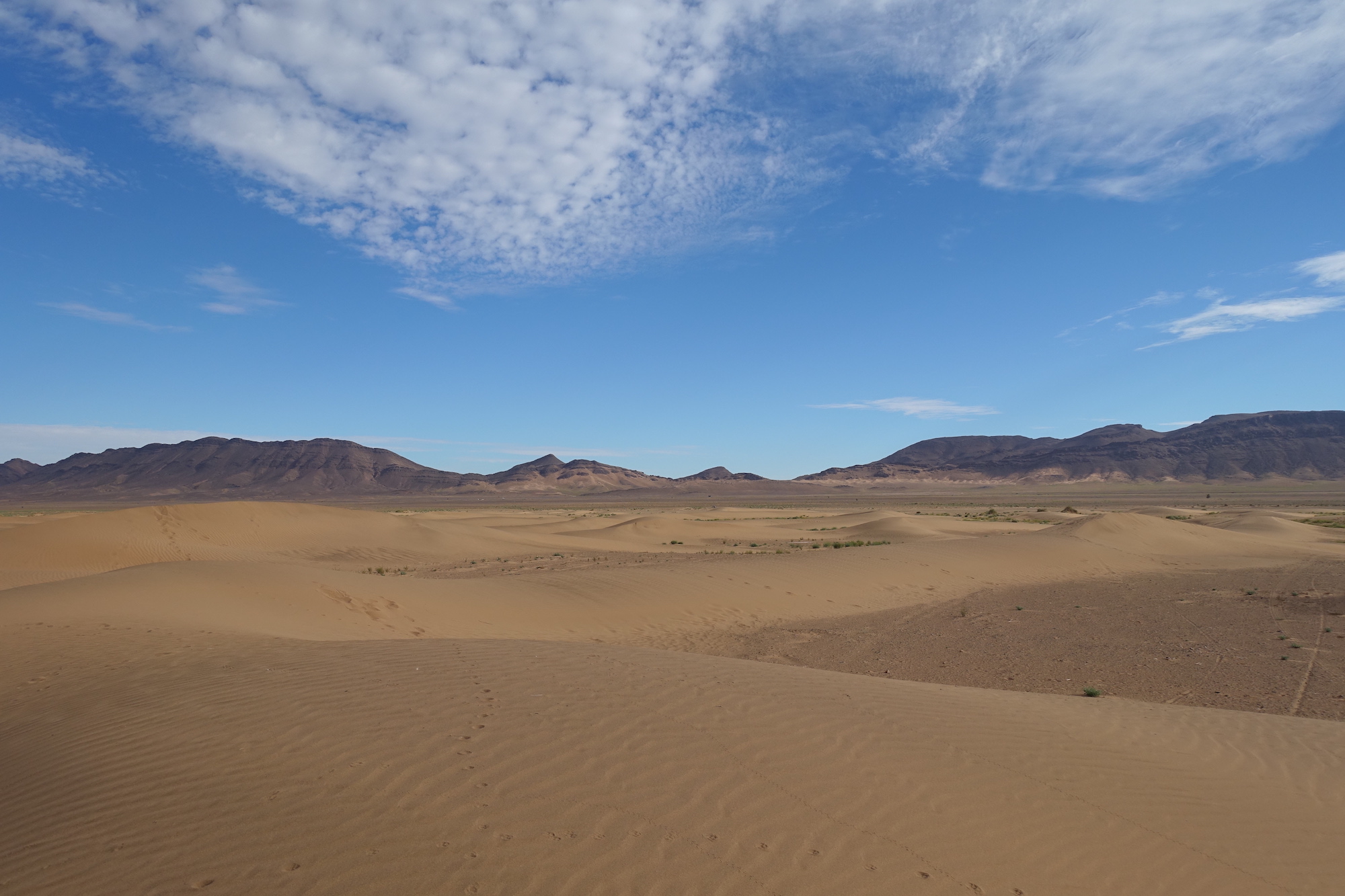 Zagora desert dunes
