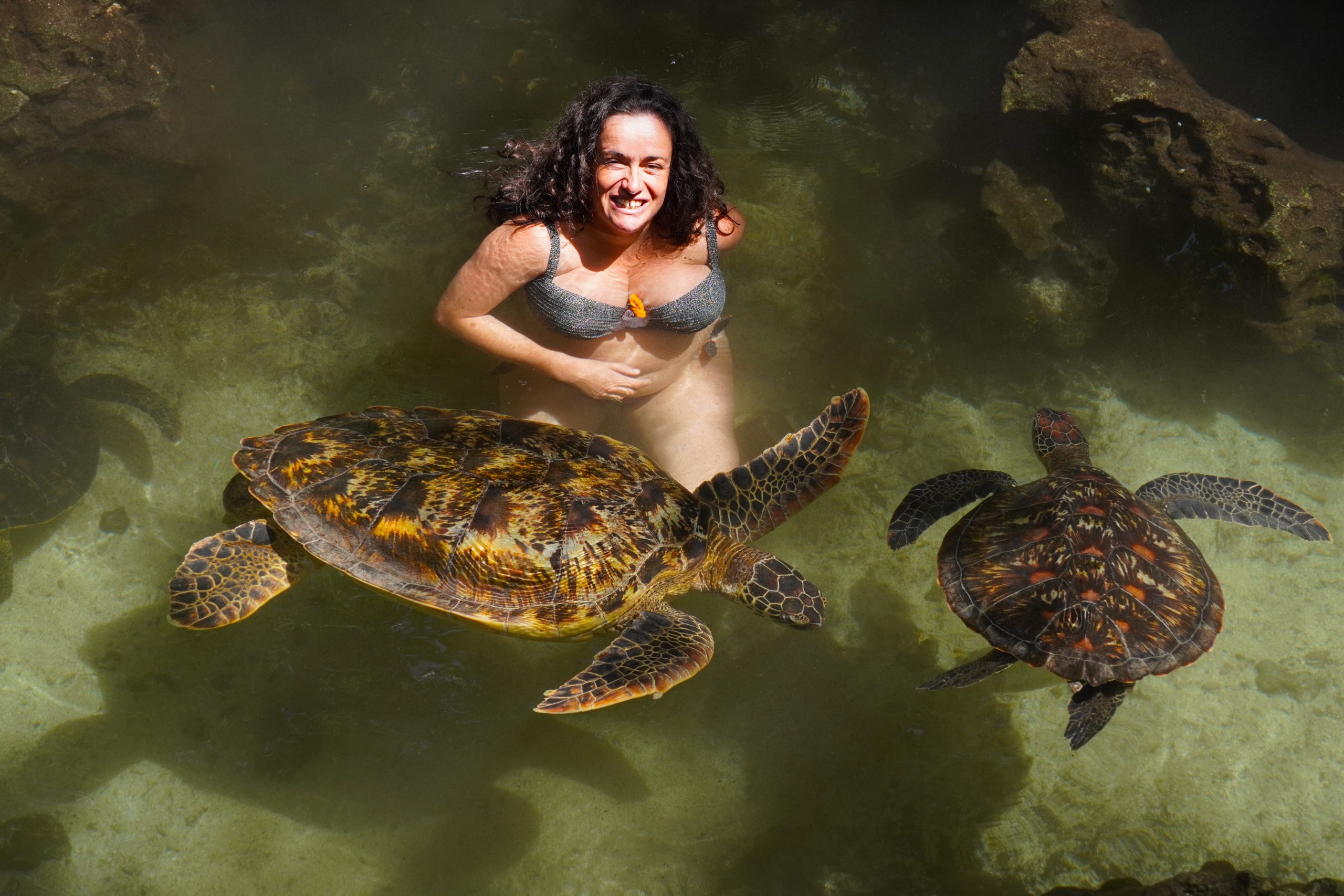 A couple of turtles and Pilar at the Baraka aquarium