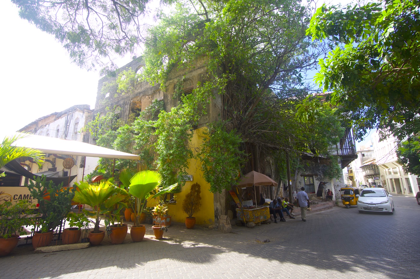 A complete view of Ali Curio's building in Mombasa Old Town