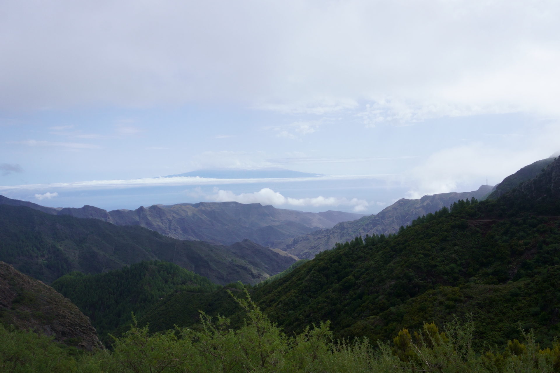 View from the Garajonay national park mountains while hiking in La Gomera