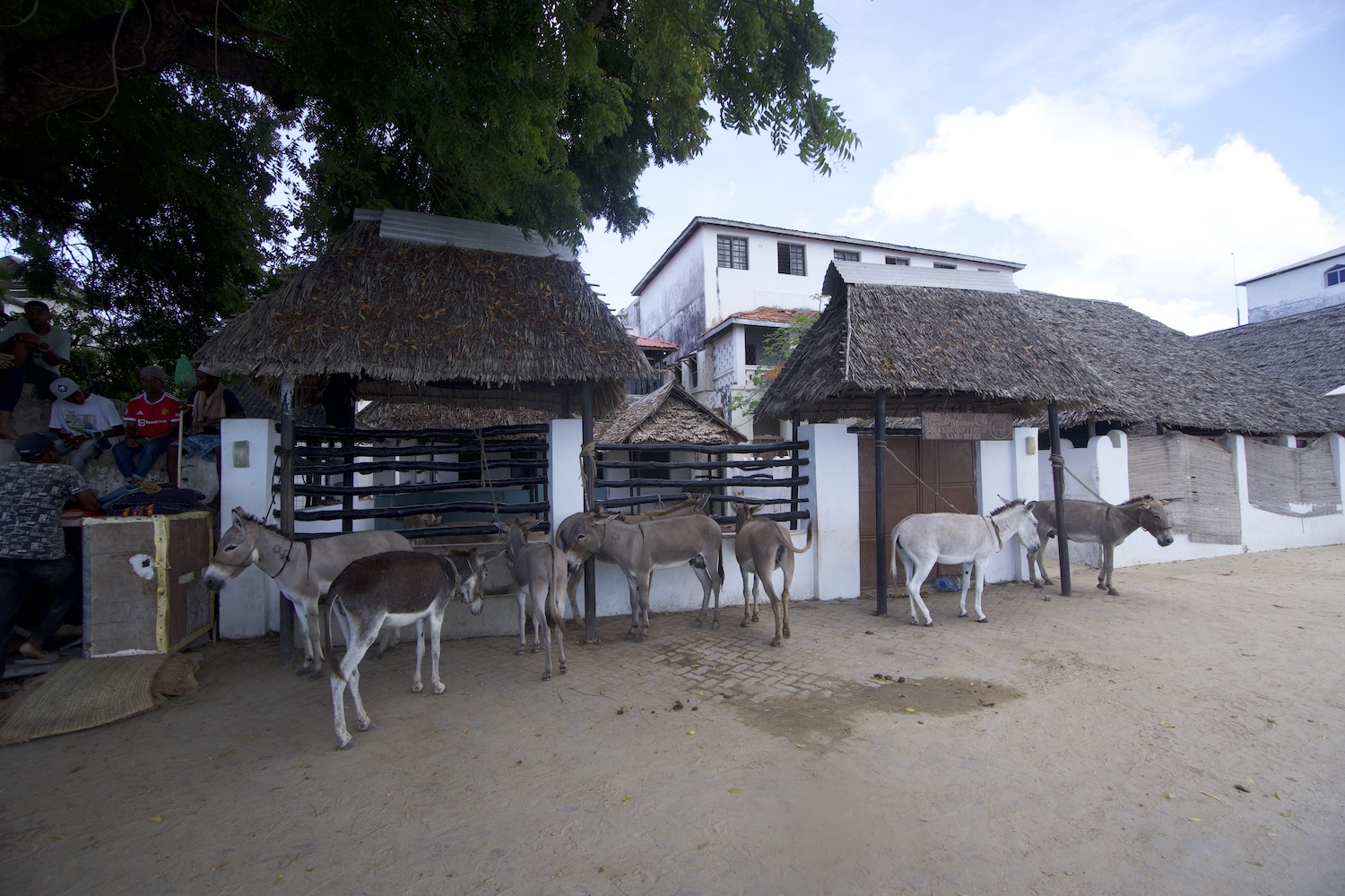 Lamu donkey sanctuary entrace