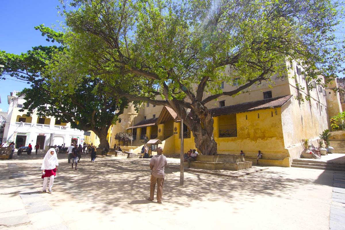 Lamu Olf Fort in Lamu Old Town. Two beautiful trees in front of the port and some people walking by