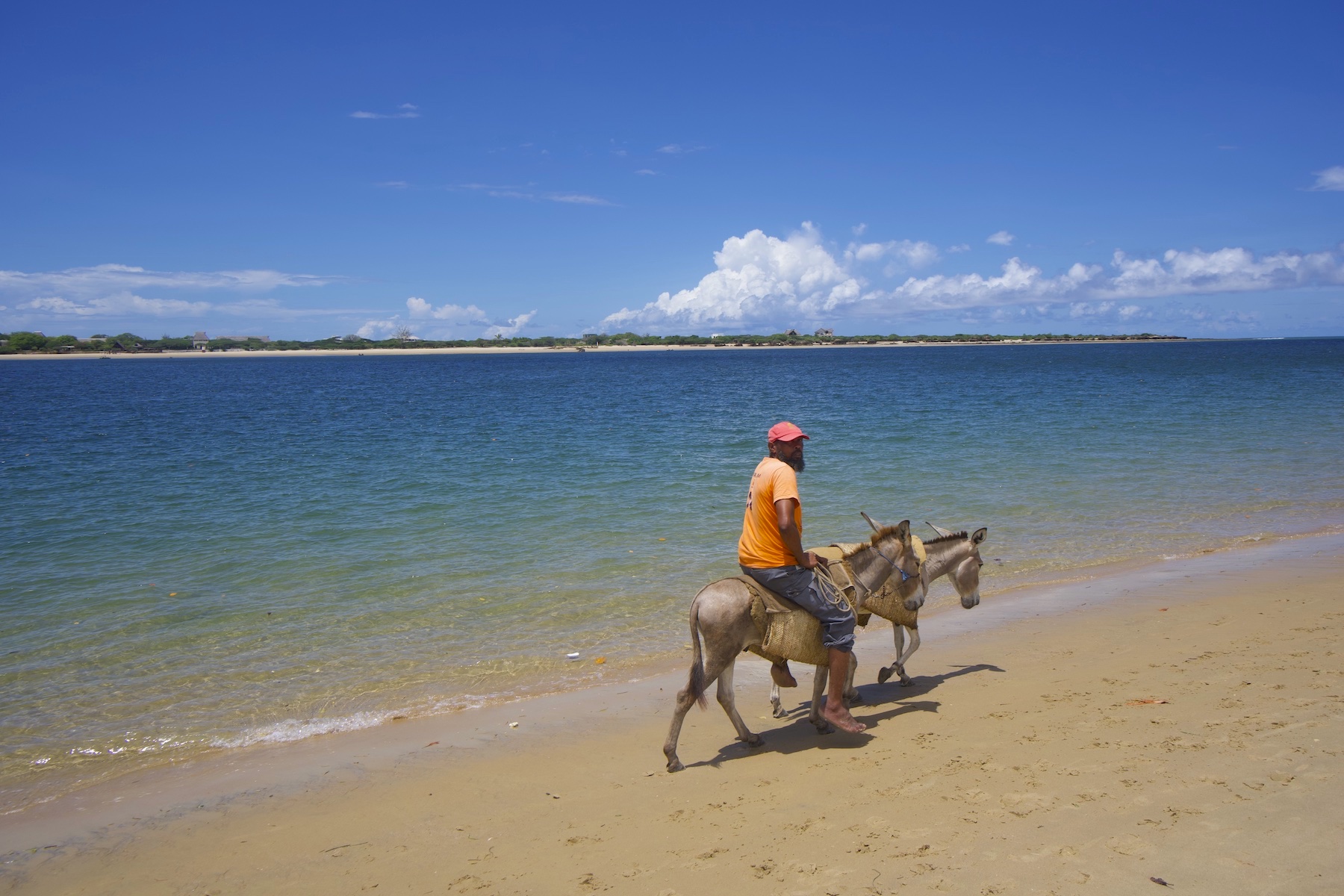 Man riding a donkey at Shela beach