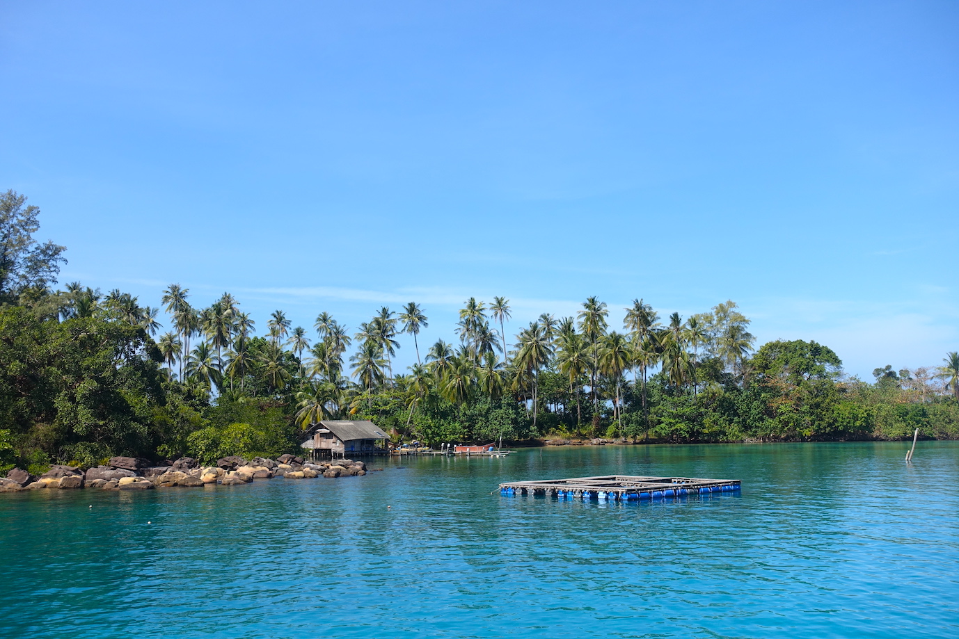 A beautiful view with a lot of palm trees and some rocks of the Koh Kood coast from the boat