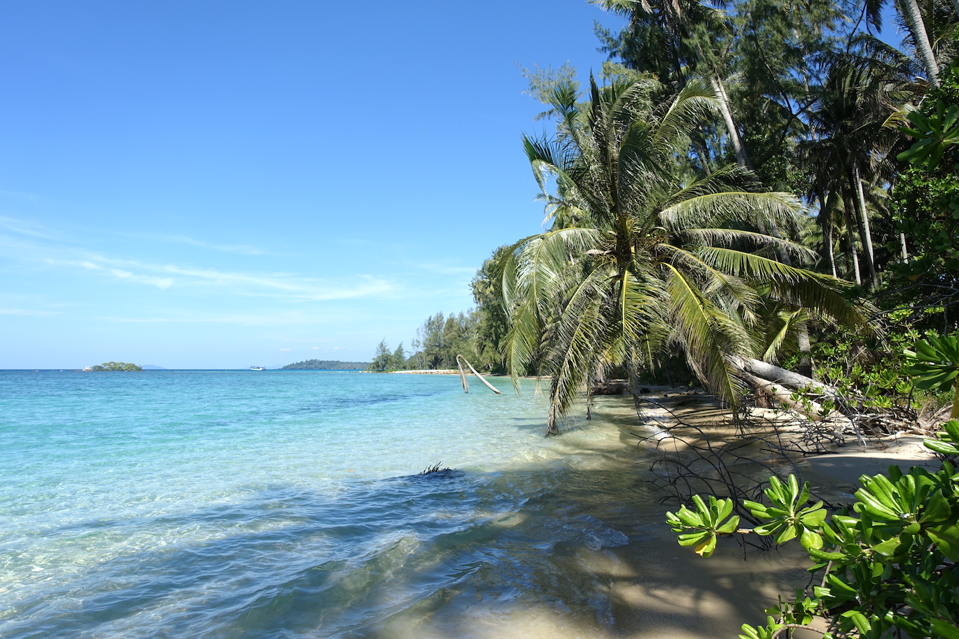 A beach a Koh Kood with pristine emerald waters and palm trees