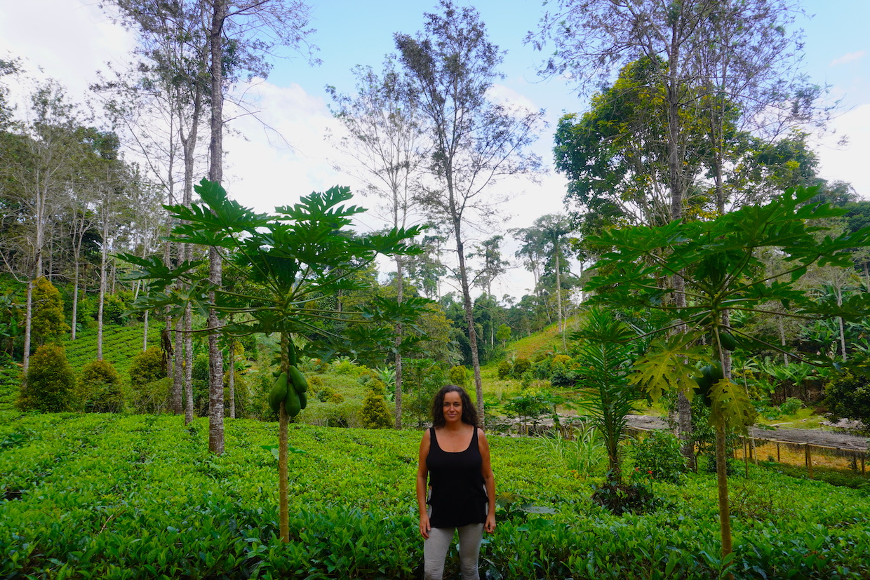 Pilar at a tree nursery and tree plantation on the East Usambara mountains