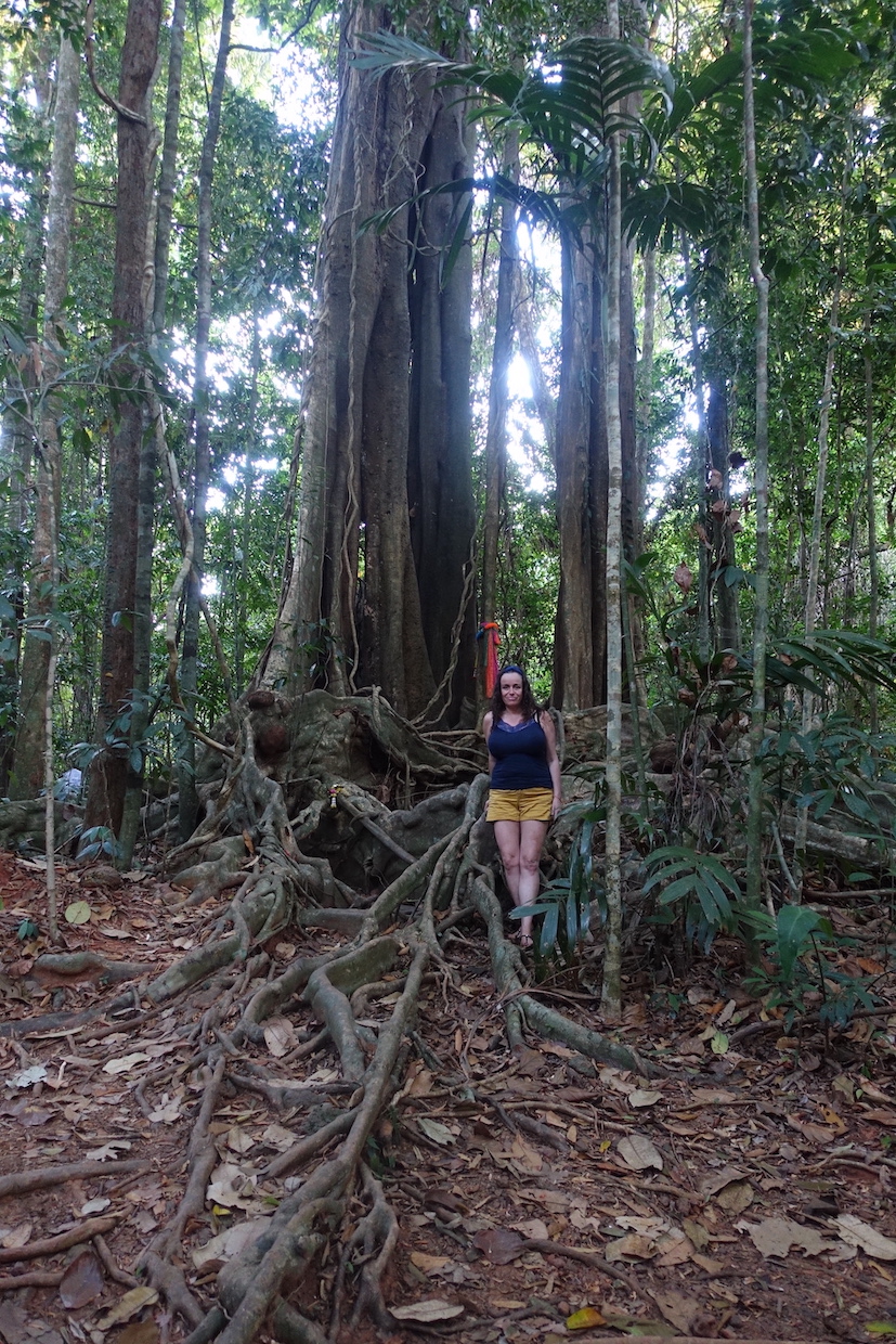Pilar standing in front of the Yak Makka tree in Koh Kood