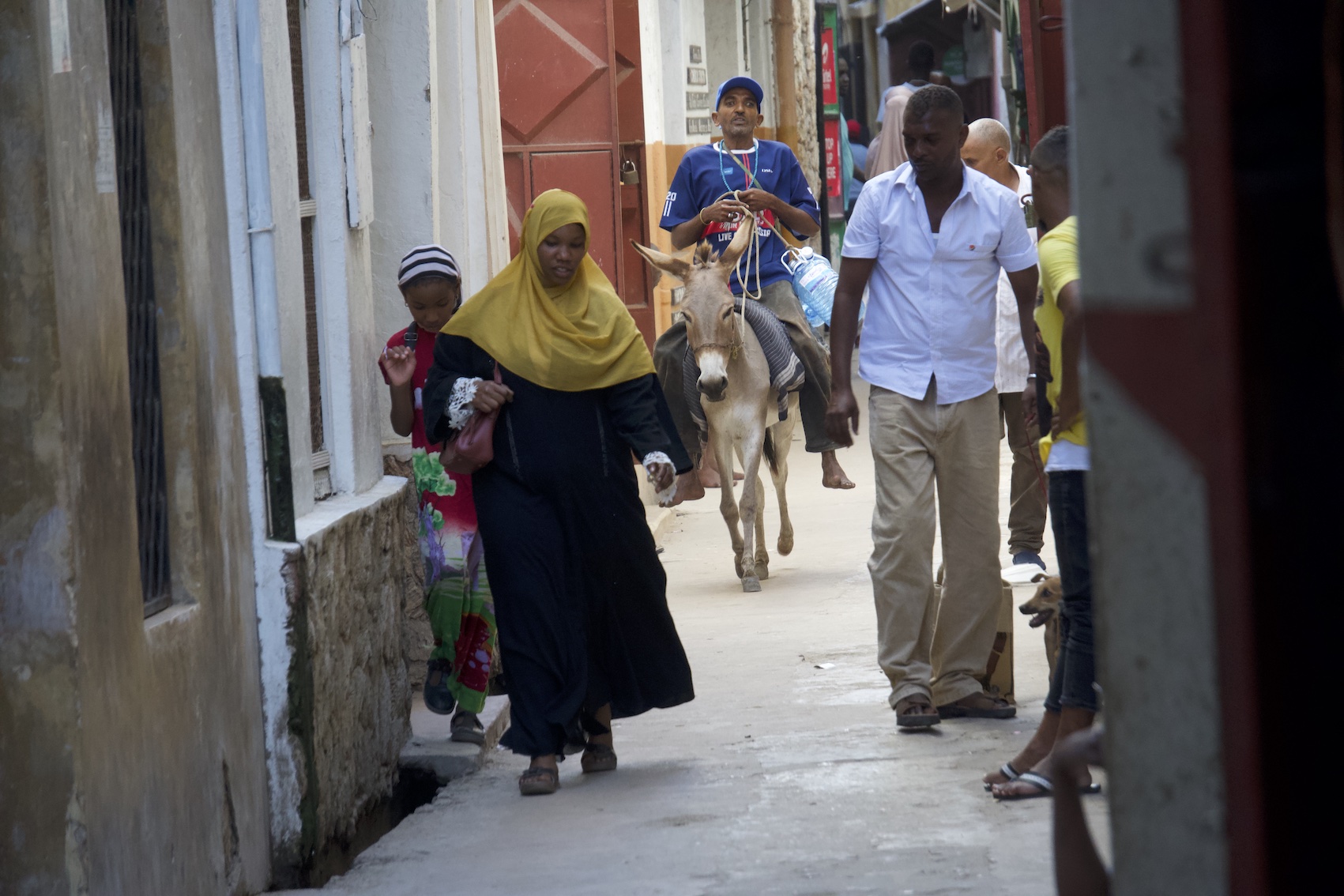 Pilar walking and a man riding a donkey in Lamu Old Town