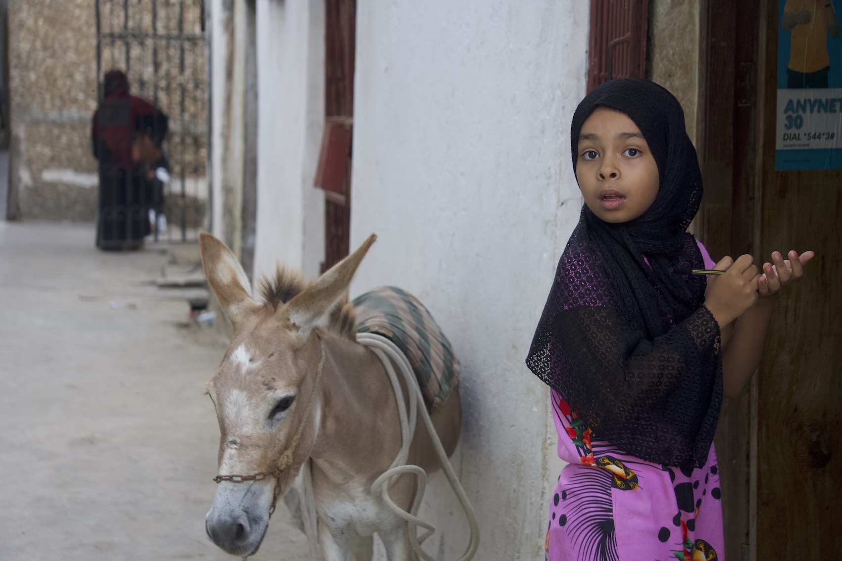 Girl and a donkey on Lamu Old Town