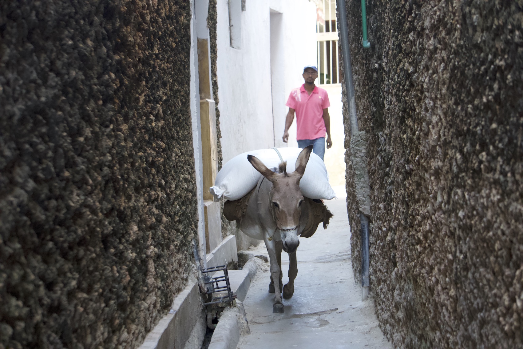 Donkey carrying two sacs and a man behind, on Lmu Old Town street