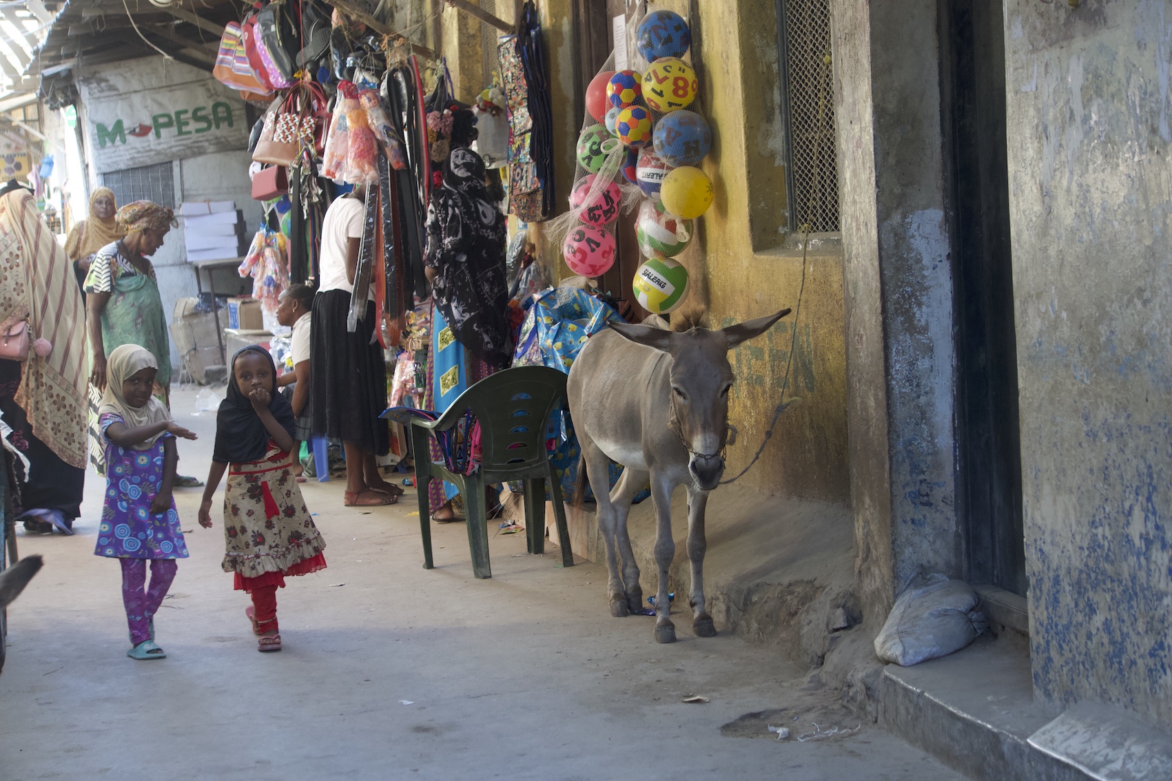 Two girls walking and a donkey in Lamu island street