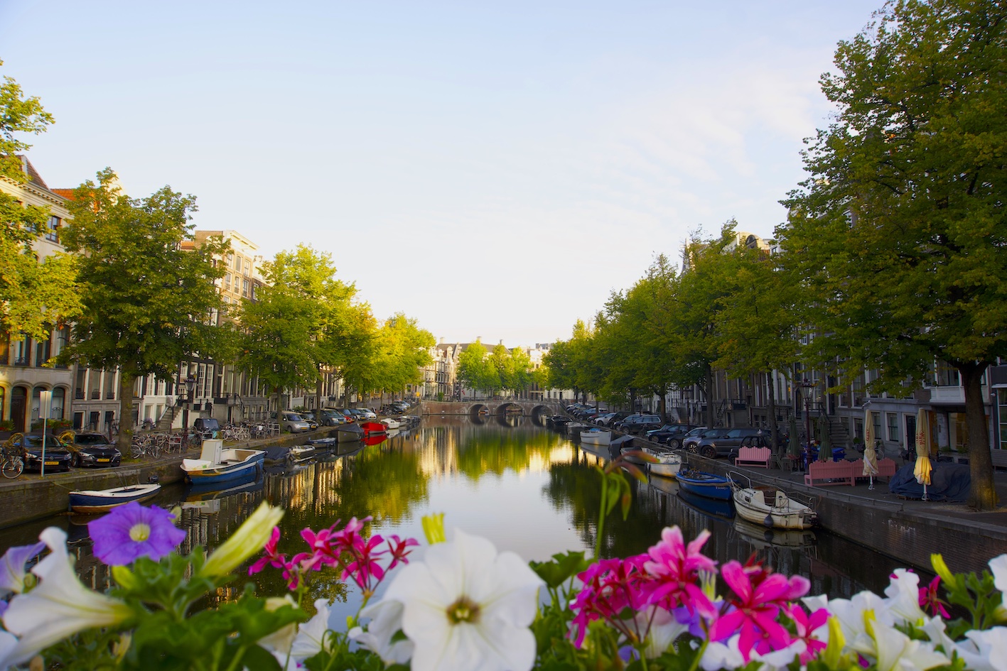 A photos of an Amsterdam canal at sunrise framed by some colorful flowers