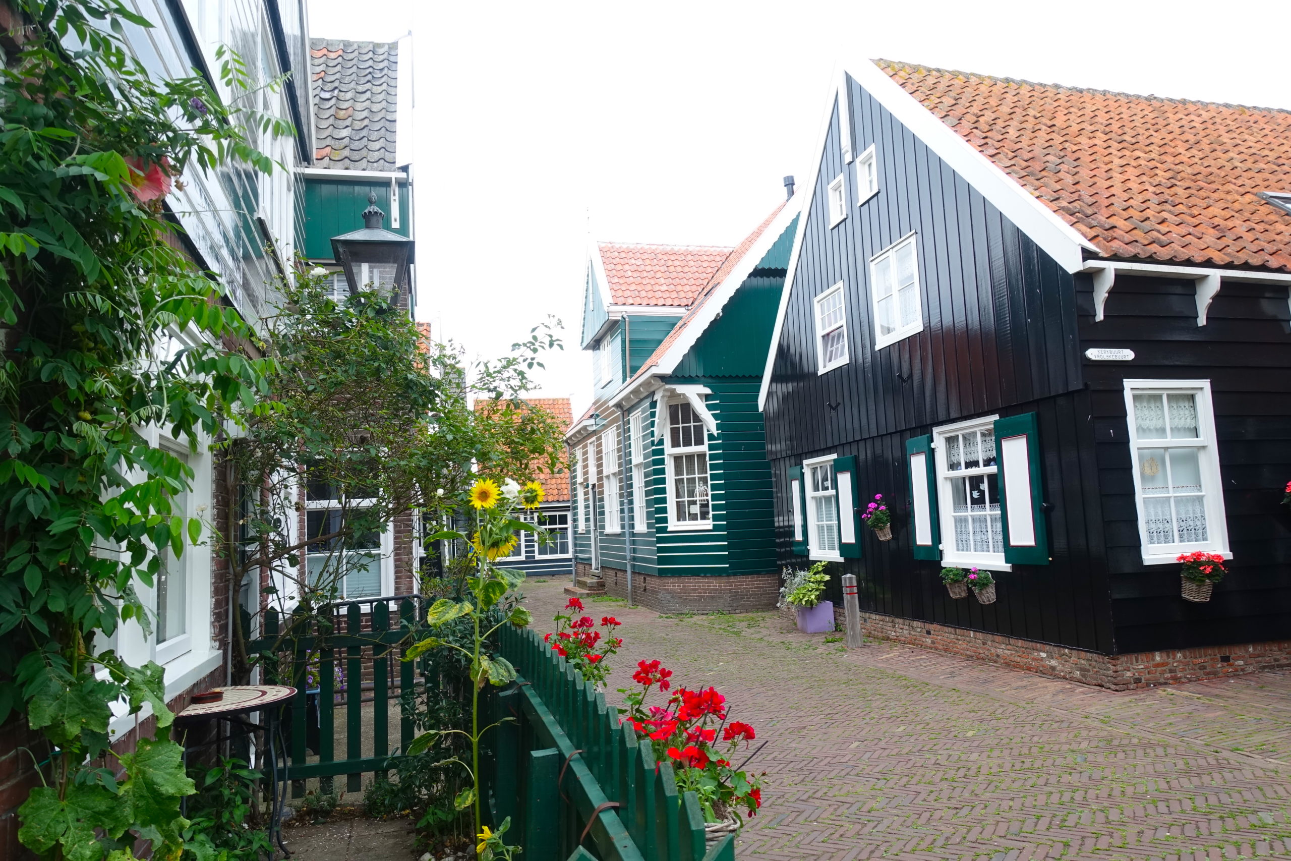 Center street in Marken with red flowers and green wooden houses 