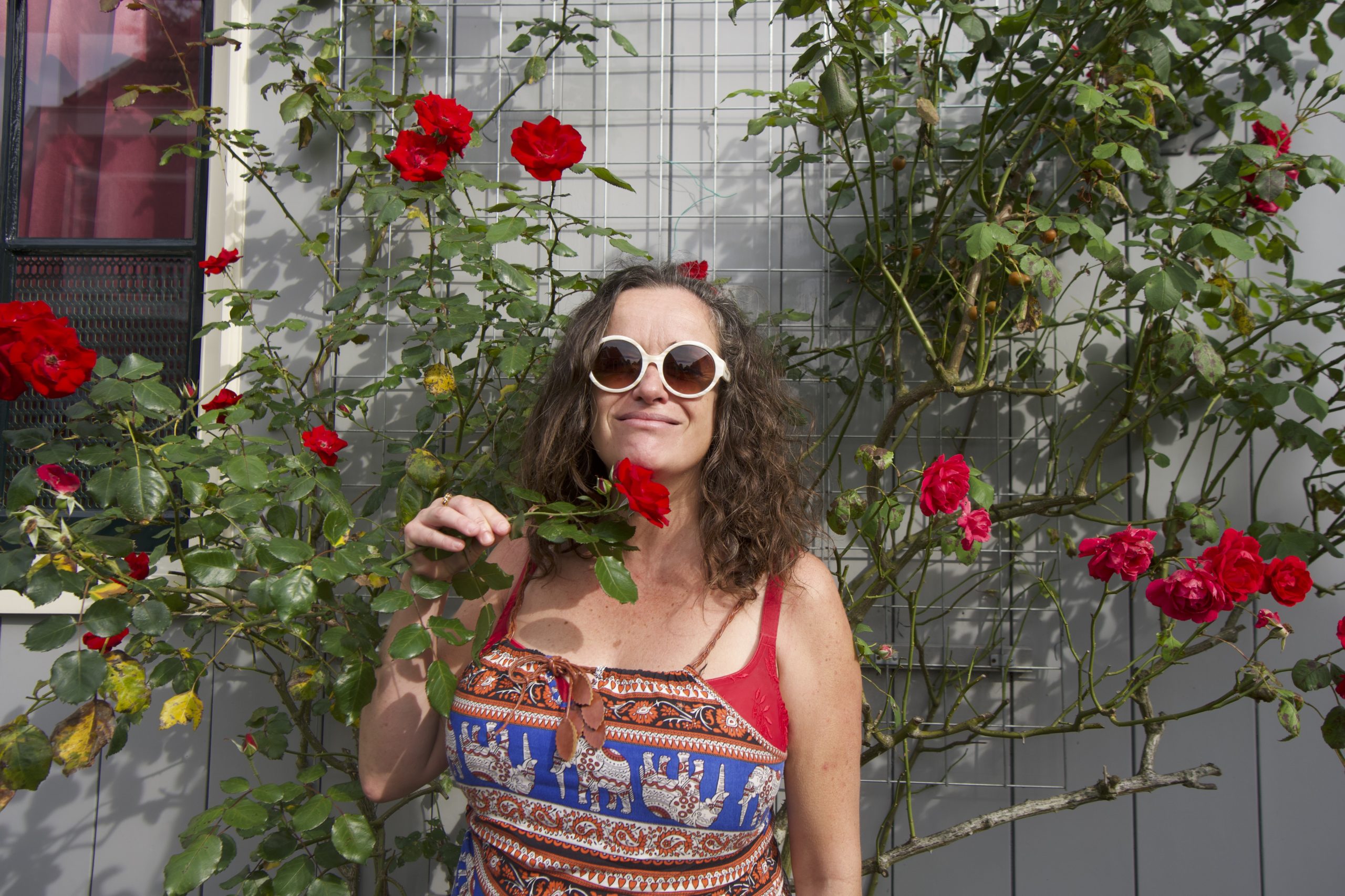 Pilar with some roses hanging from the facade of one of the houses in Broek in Waterland