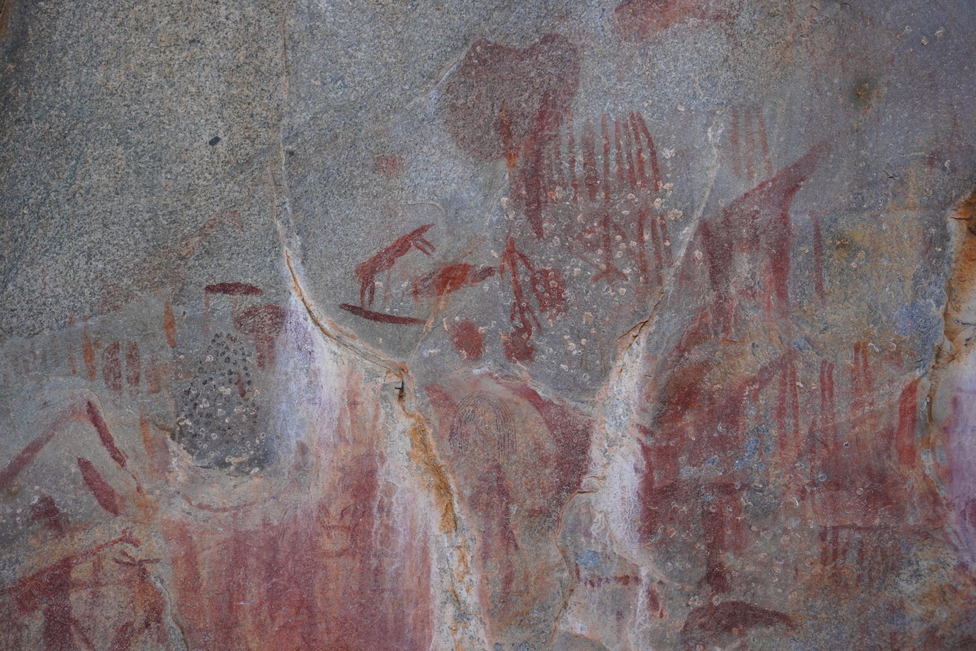 Some animals at the Igeleke rock art site