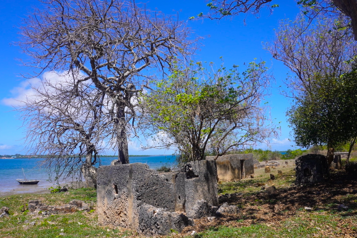 Kilwa Kisiwani ruins Tanzania