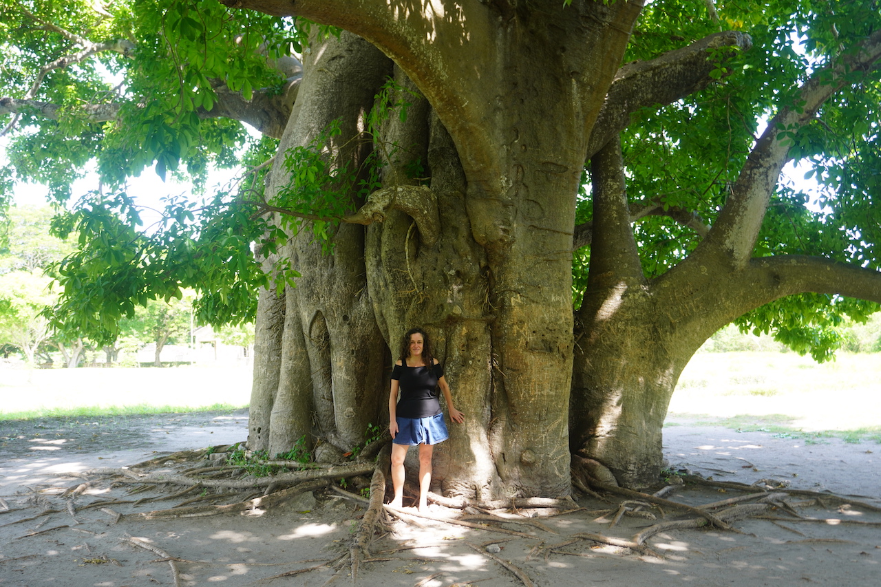 A photo of Pilar leaning on a 500 years old baobab tree