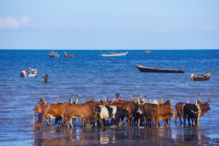 BAGAMOYO: LAY DOWN YOUR HEART