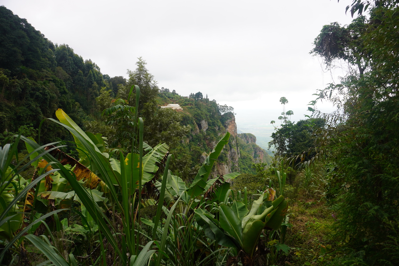 A view of some banana trees and some mountain peaks on the way to Kambe point in Lushoto