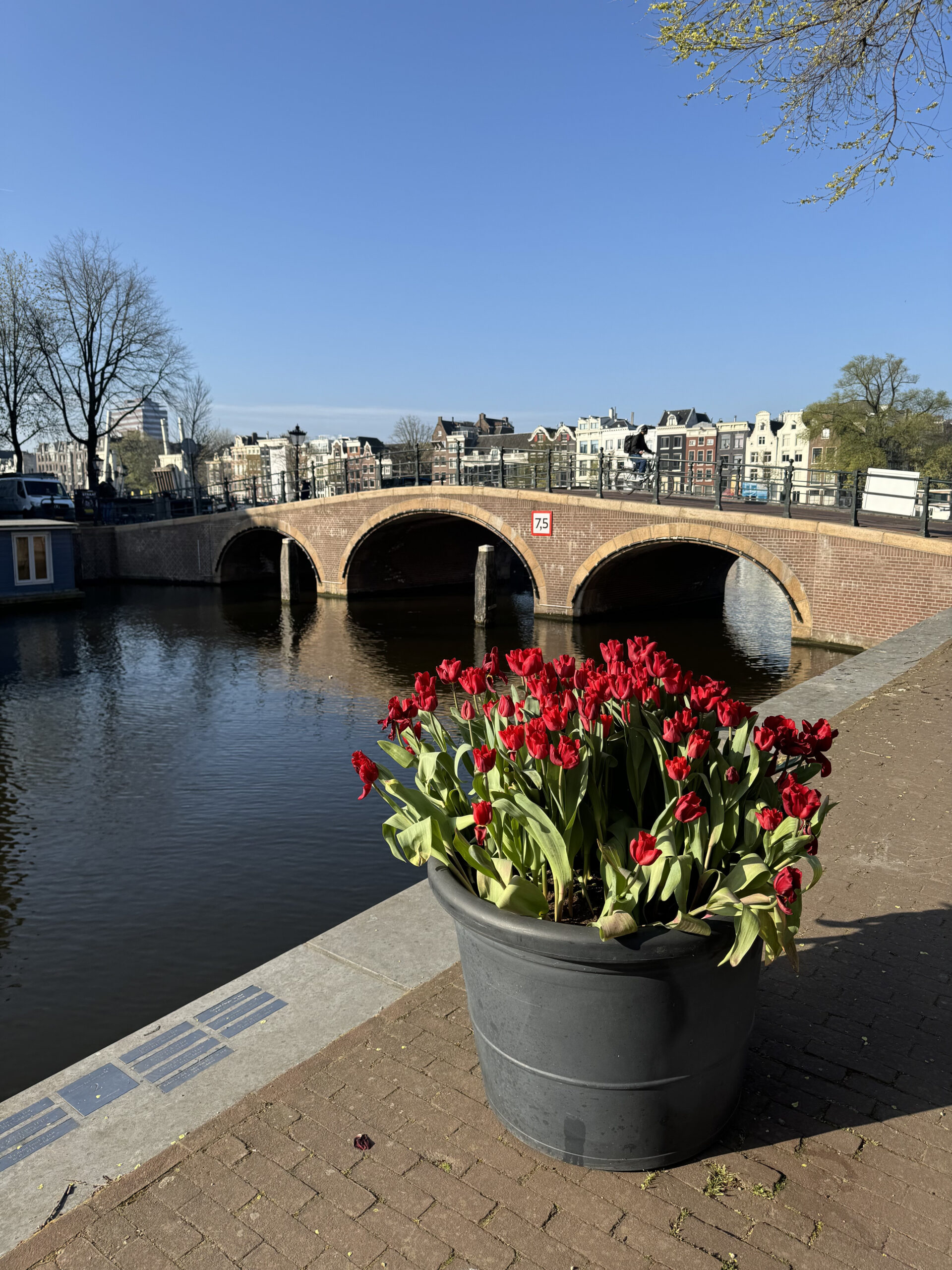 Spring in Amsterdam: The 2026 Guide (And What the Guidebooks Get Wrong ...