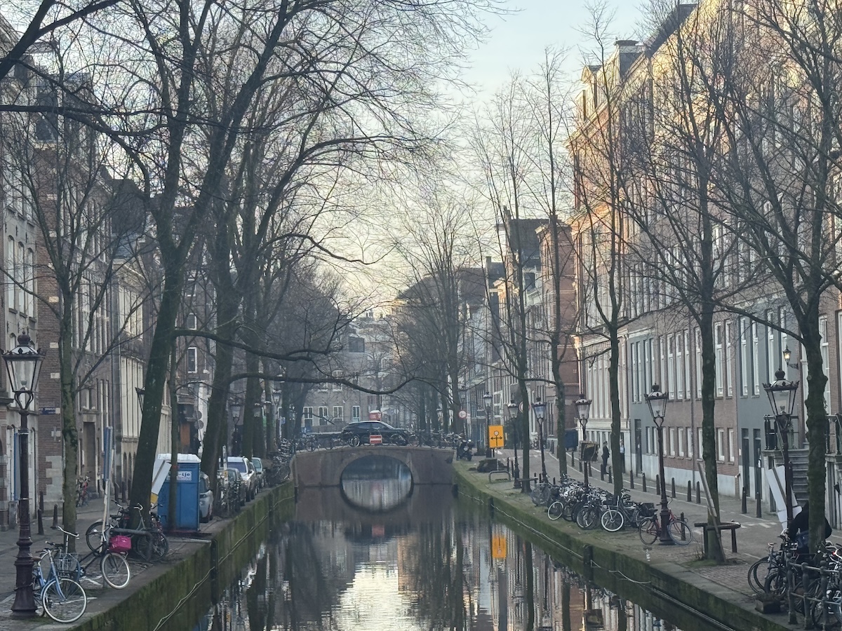 Quiet Amsterdam canal lined with historic houses and bare trees in the early morning mist.